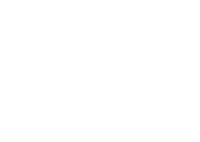 Logo Le Soleil